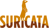 Suricata